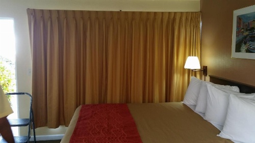 The Palms On Ocean image 36