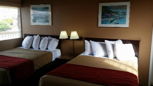 The Palms On Ocean image 39